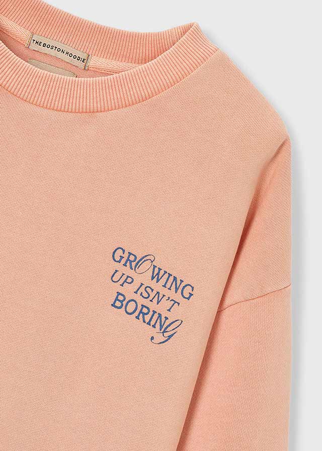 Sudadera niño Growing Up The Boston Kids - Image 3